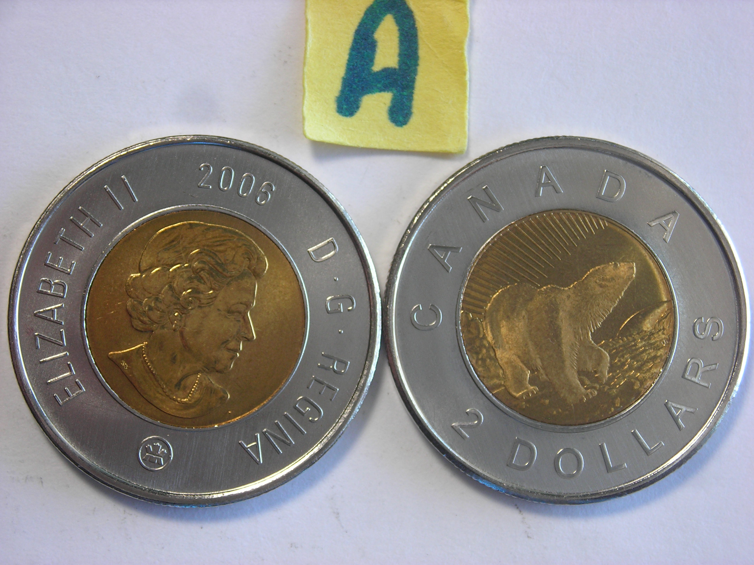 DSCN2218.JPG