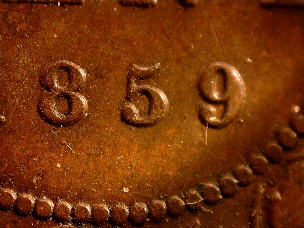 c59-7.jpg