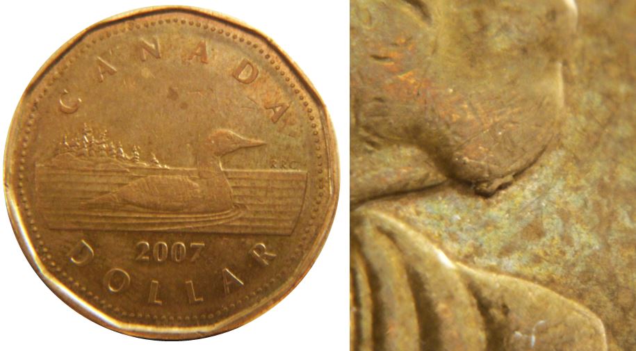 1 Dollar 2007-Éclat coin sous le menton-1,.JPG