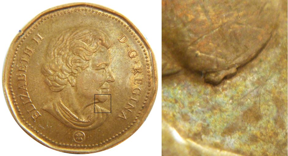 1 Dollar 2007-Éclat coin sous le menton-1.JPG