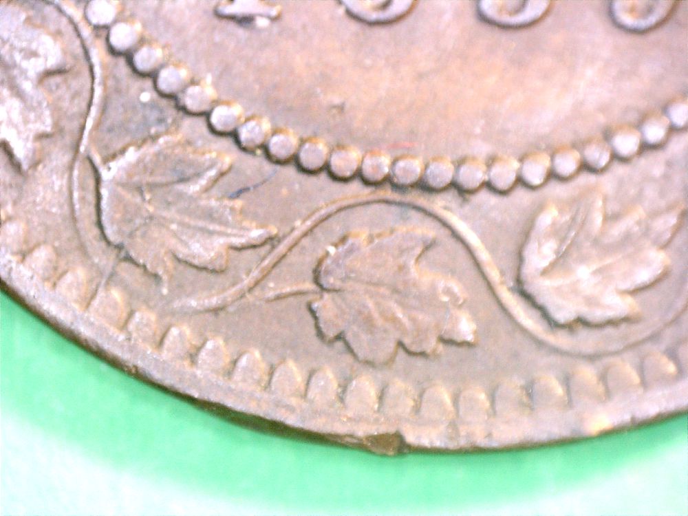 1859-9-1.jpg