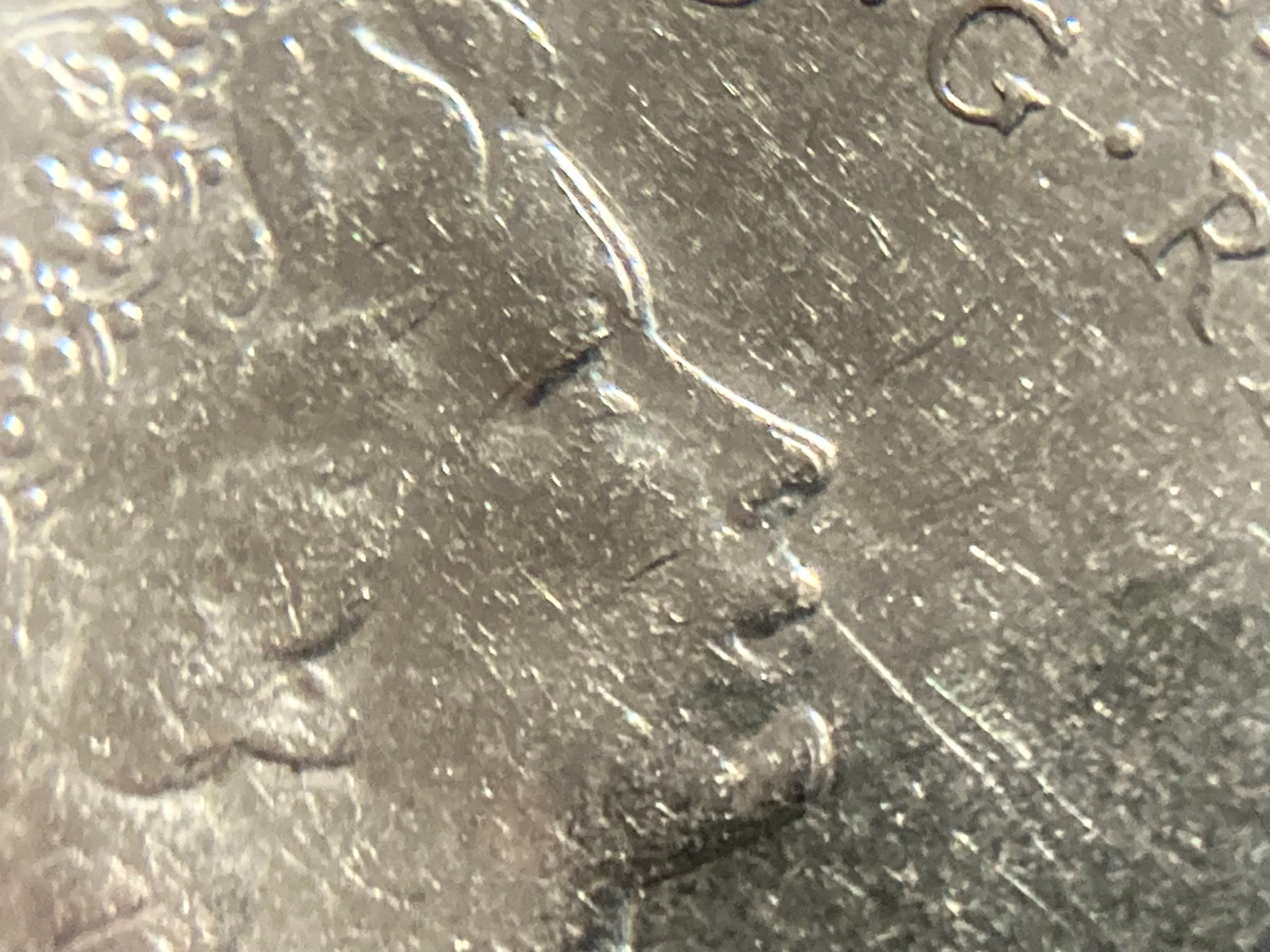 Front.jpg