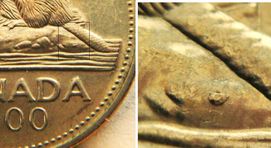 5 Cents 2000-Éclat coin sous la queue du castor-1,.JPG