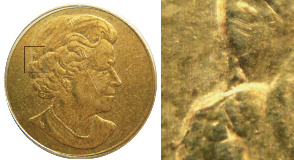 2 Dollars 2010-Éclat coin dans le cheveux-1.JPG
