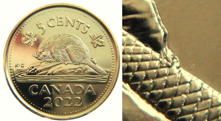 5 Cents 2022-Éclat derrière la buche-1.JPG