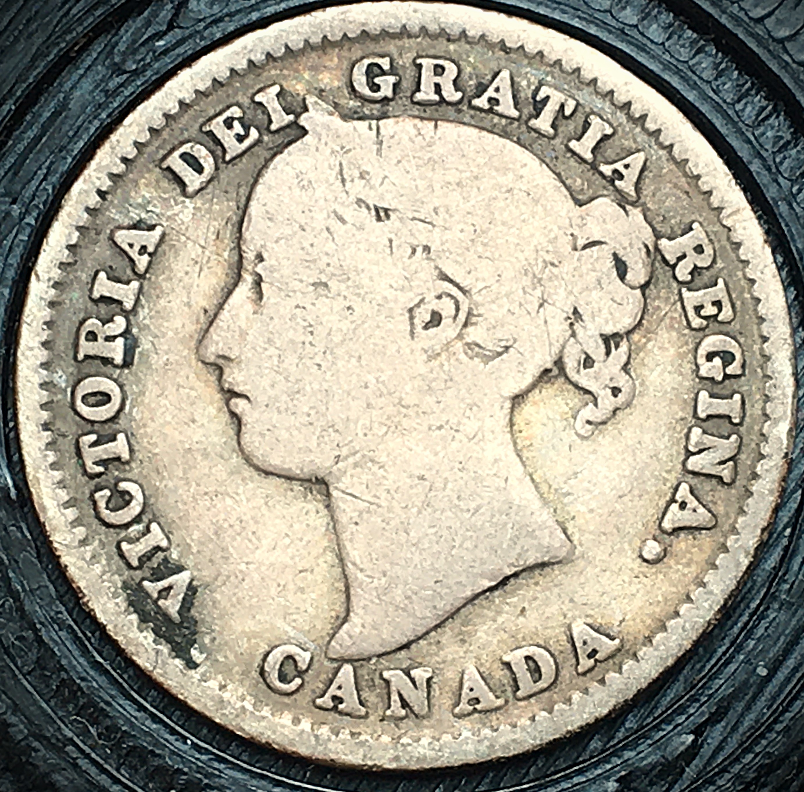 10 cents 1886 avers.JPG