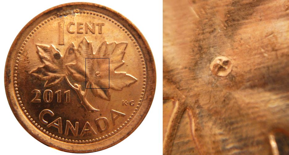 1 Cent 2011-Étrange d'éclat coin dans la feuille droite-1.JPG