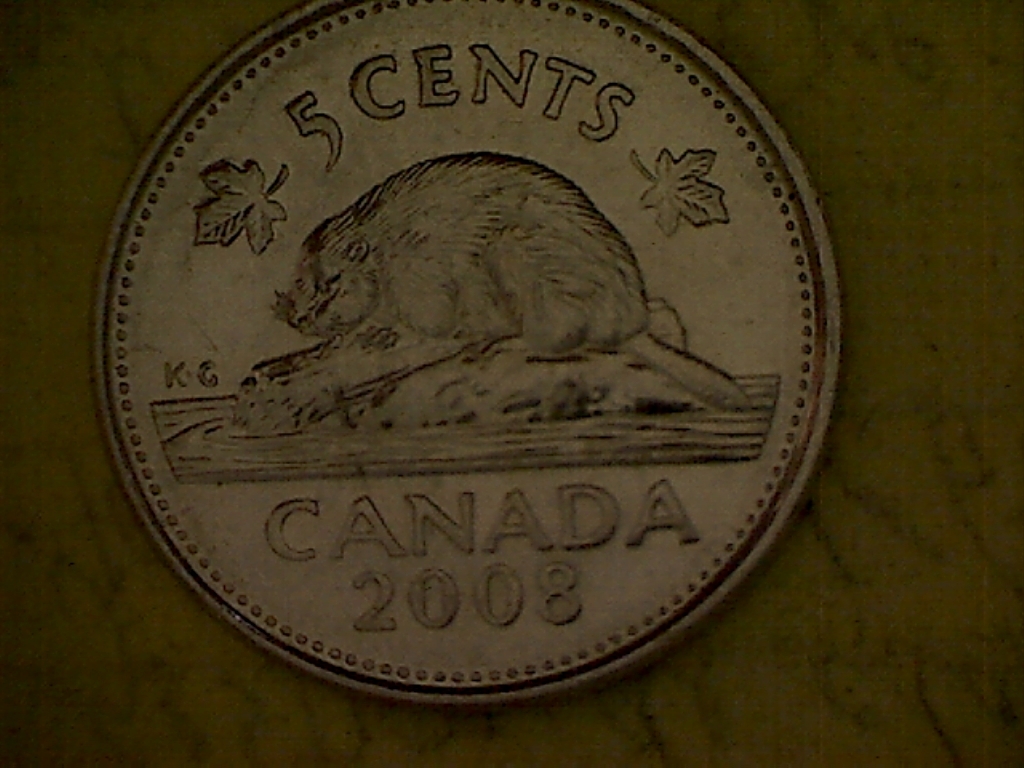 5 Cents 2008 Frappé ds. graisse près du front B525049C Revers.jpg