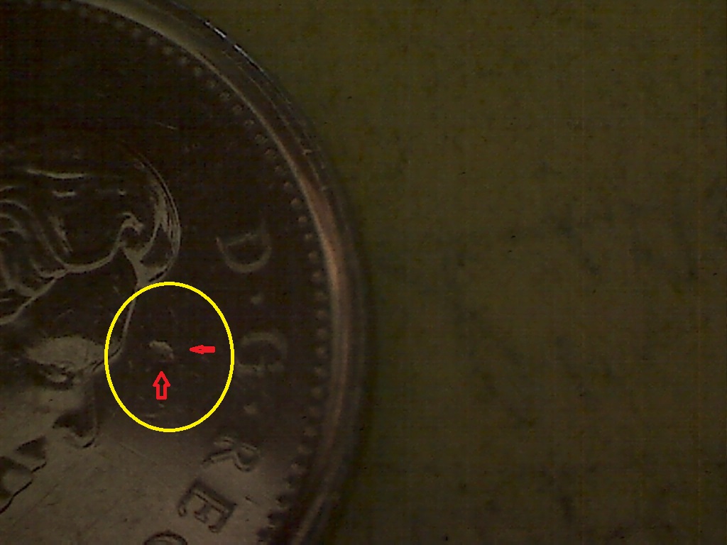 5 Cents 2008 Frappé ds. graisse près du front B525049C.jpg