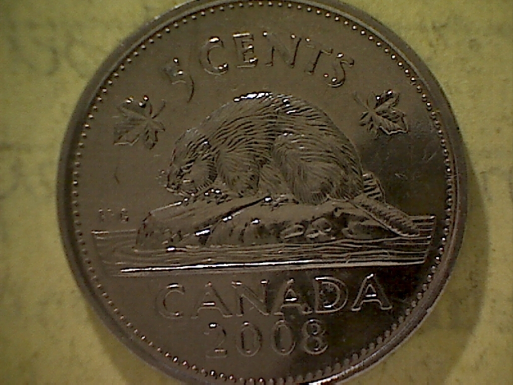 5 Cents 2008 Écl. au-dessus du B  B525043C Revers.jpg