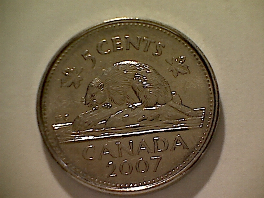 5 Cents 2007 Écl. sur CE et sur tête castor  B524047C Revers.jpg