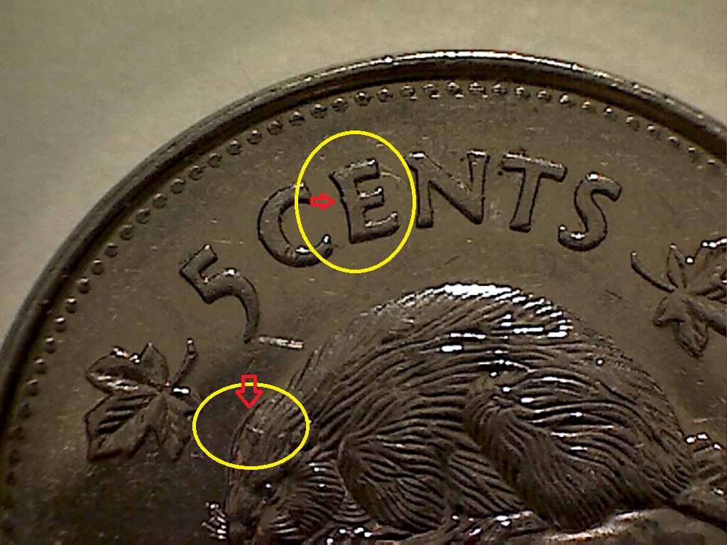 5 Cents 2007 Écl. sur CE et sur tête castor  B524047C.jpg