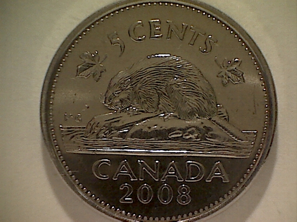 5 Cents 2008 Frappé ds. graisse entre N et A B525061A Revers.jpg