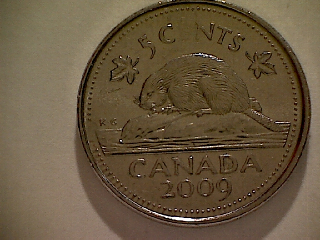 5 CENTS 2009 Frappe ds. grai. à g. de K.G B525066C Revers.jpg