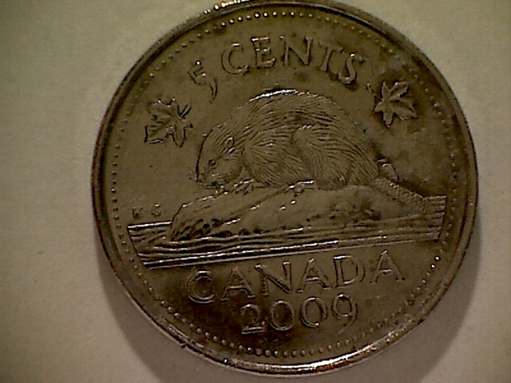 5 CENTS 2009 Frappé ds. grai. devant Reine B525040D Revers.jpg
