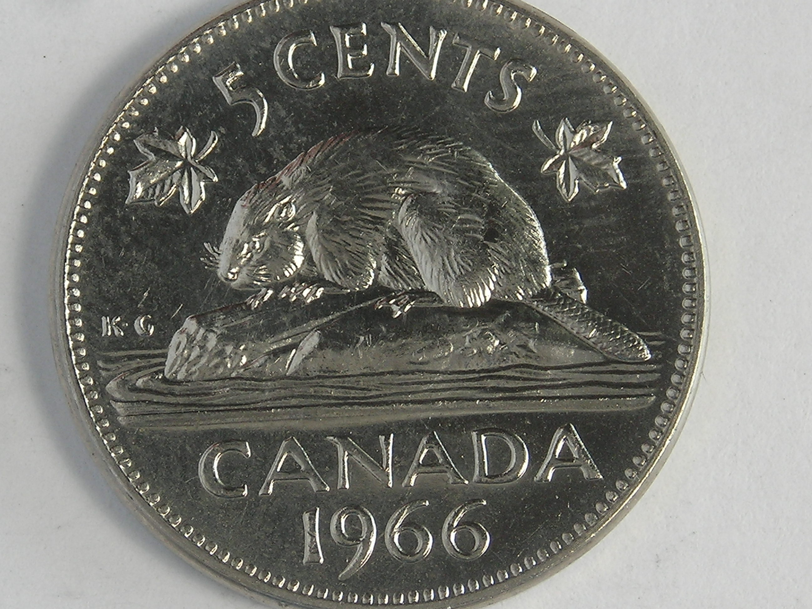 DSCN2540.JPG