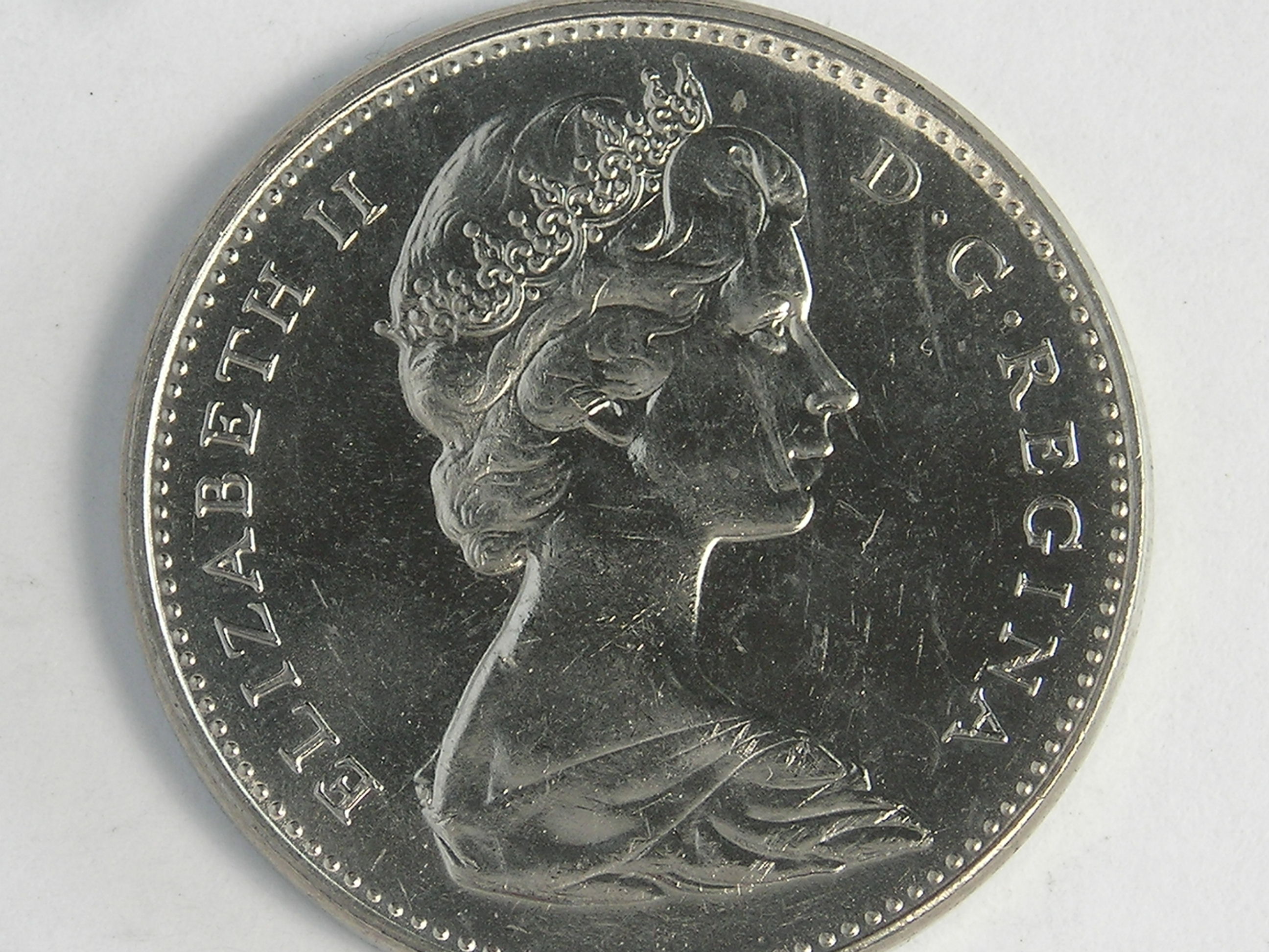 DSCN2539.JPG
