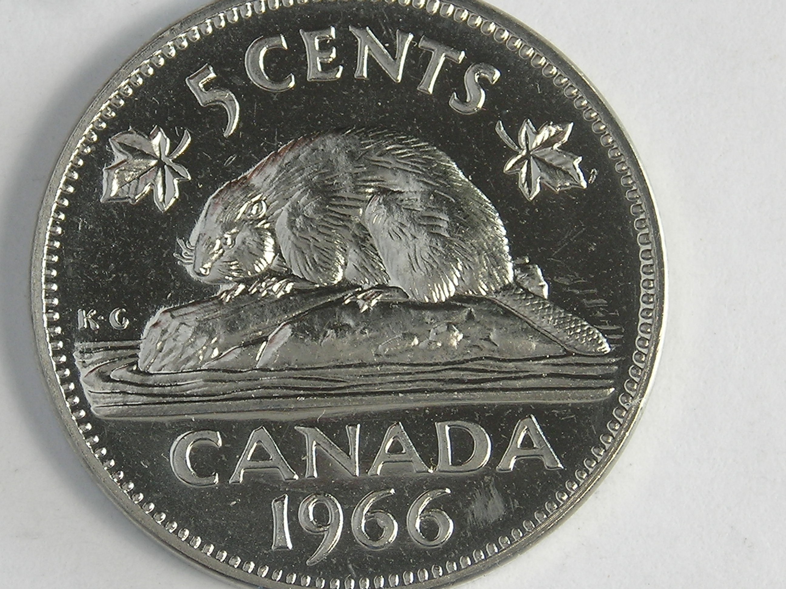 DSCN2542.JPG