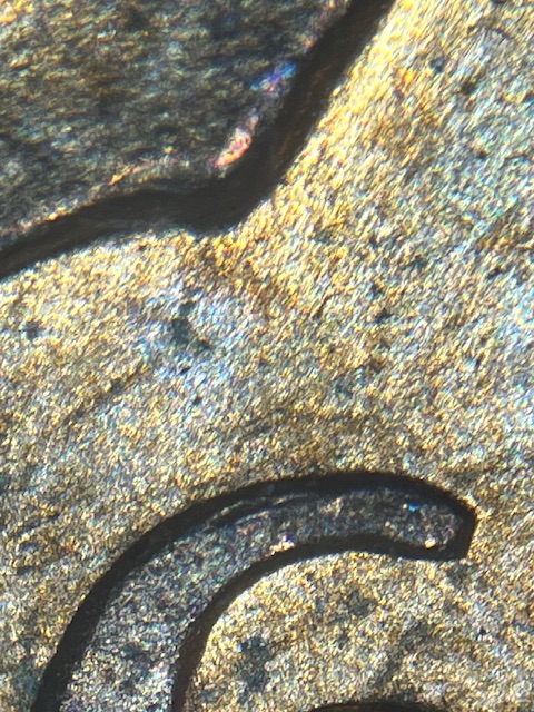IMG_3957.jpeg