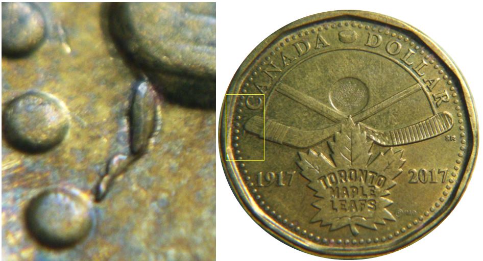1 dollar 2017 Toronto - Éclat de coin au bout du bâton-1.JPG