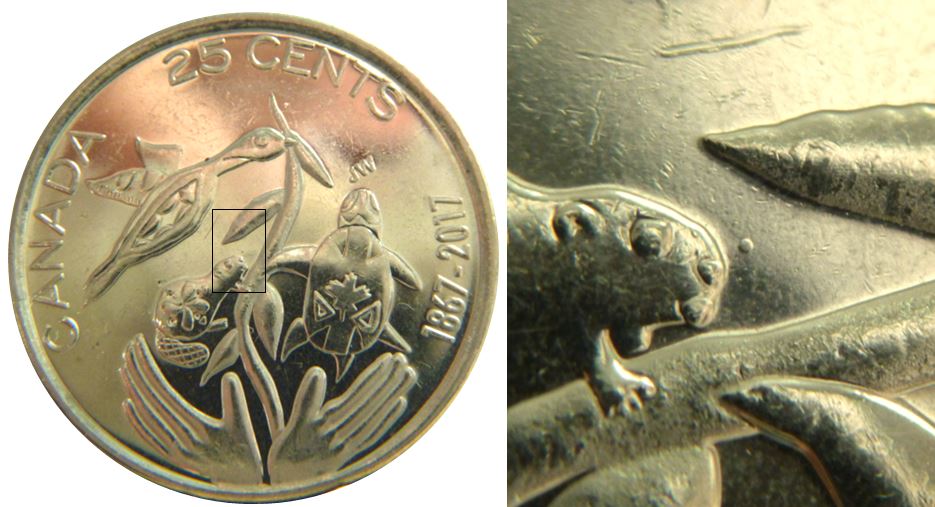 25 Cents 2017-canada 100-Point devant le castor-1.JPG