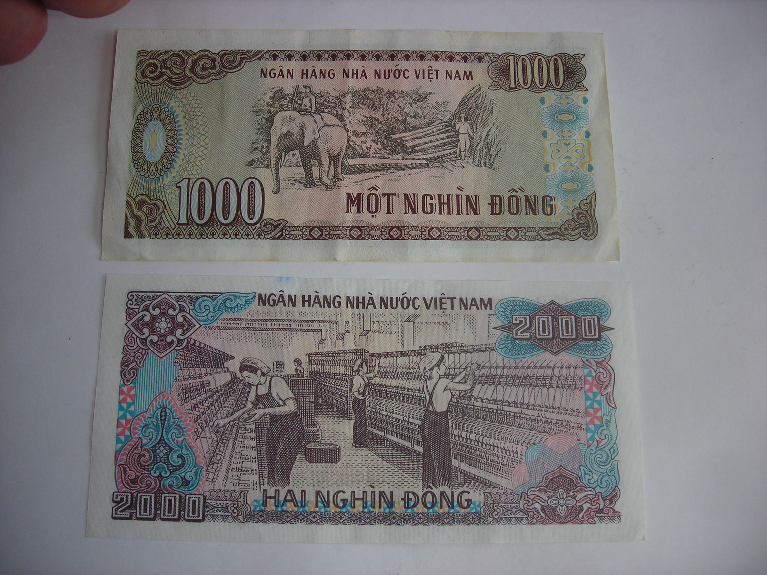 DSCN2633.JPG