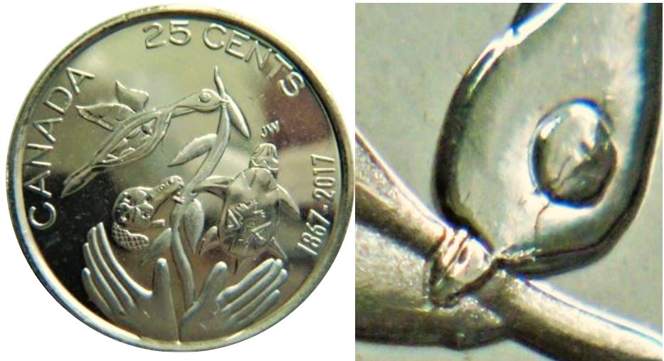 25 Cents 2017 canada 150- Coin fendillé sur l'oiseau-1,.JPG