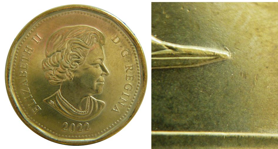 1 Dollar 2022-Coin fendillé au dessus bec du Huard-1,.JPG