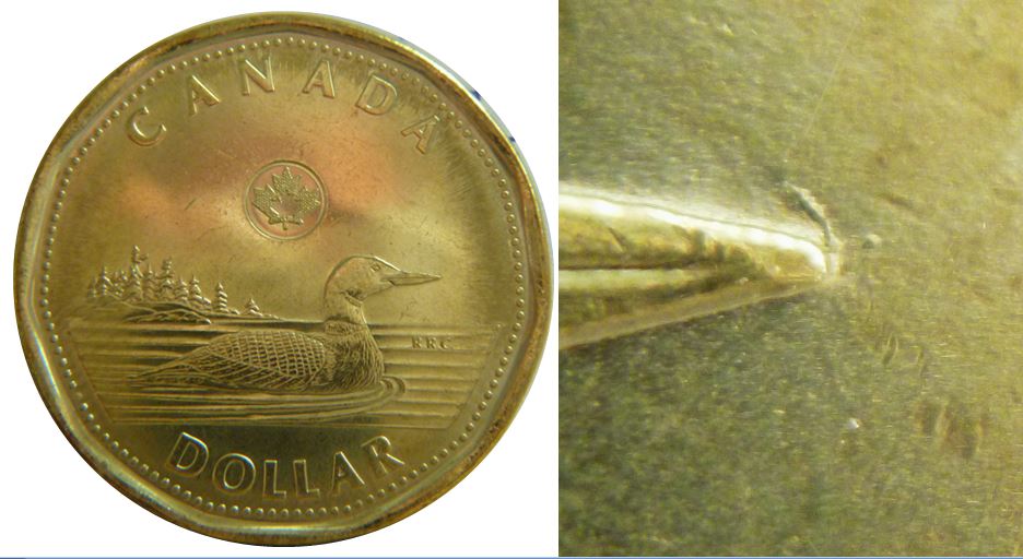 1 Dollar 2022-Coin fendillé au dessus bec du Huard-1.JPG