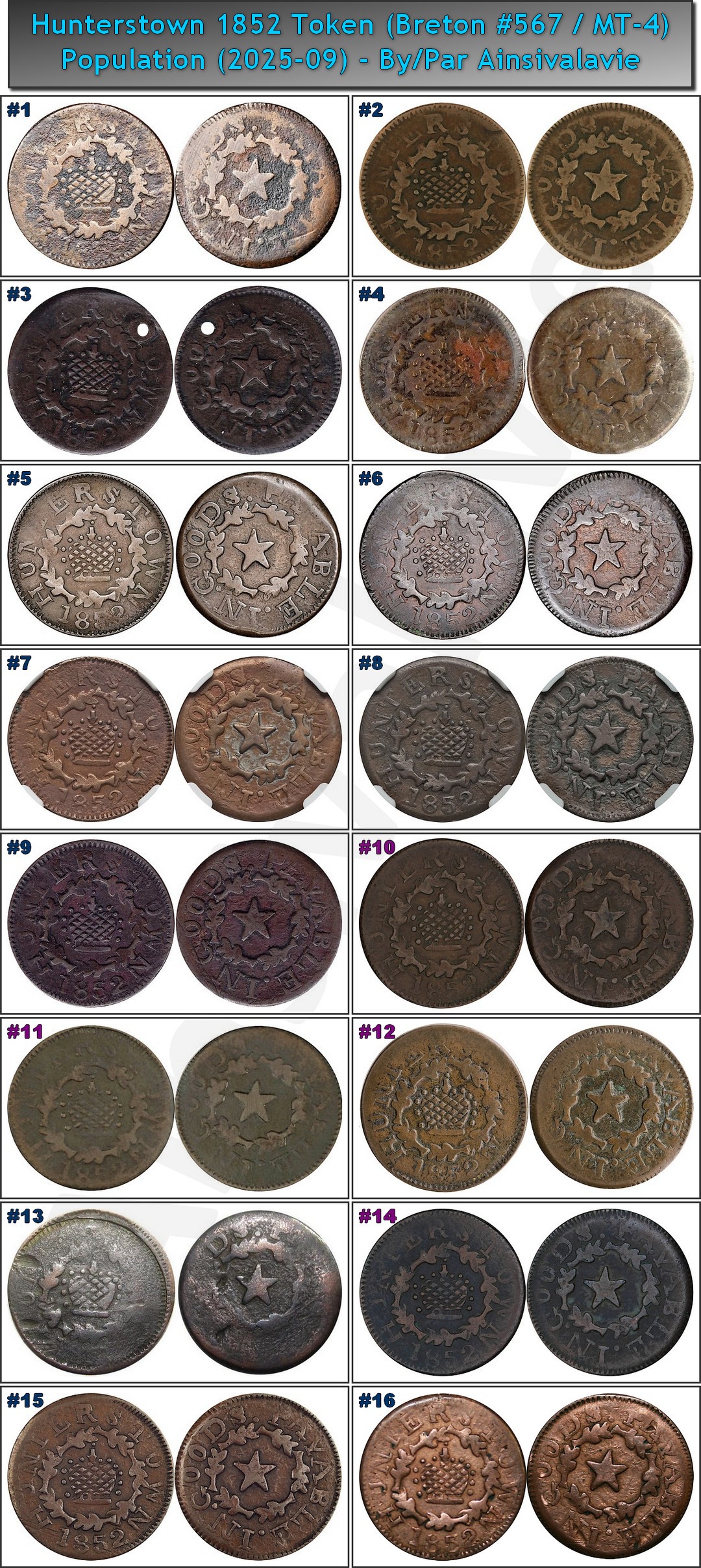 Numi - MT-4 Exemplaires 2025-09 (Ainsivalavie).jpg