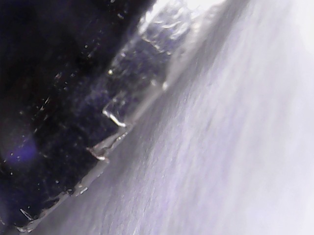 1204_1.jpg