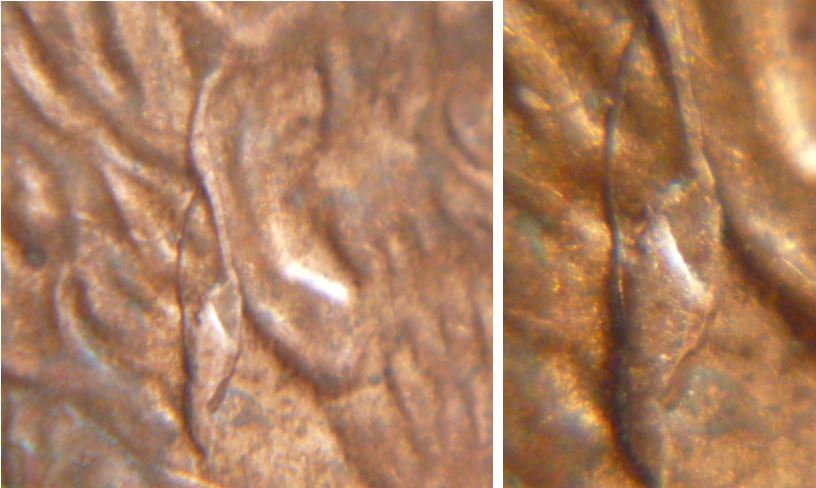1 Cent 1996 usa-Lincoln avec  appareil auditif-grosse éclat de coin-2.JPG