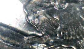 5cent2013#10mod.jpg