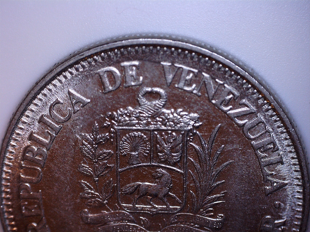 bolivar 5.jpg