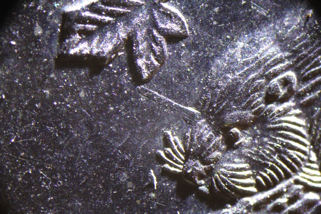 5¢ licorne détail-2.jpg