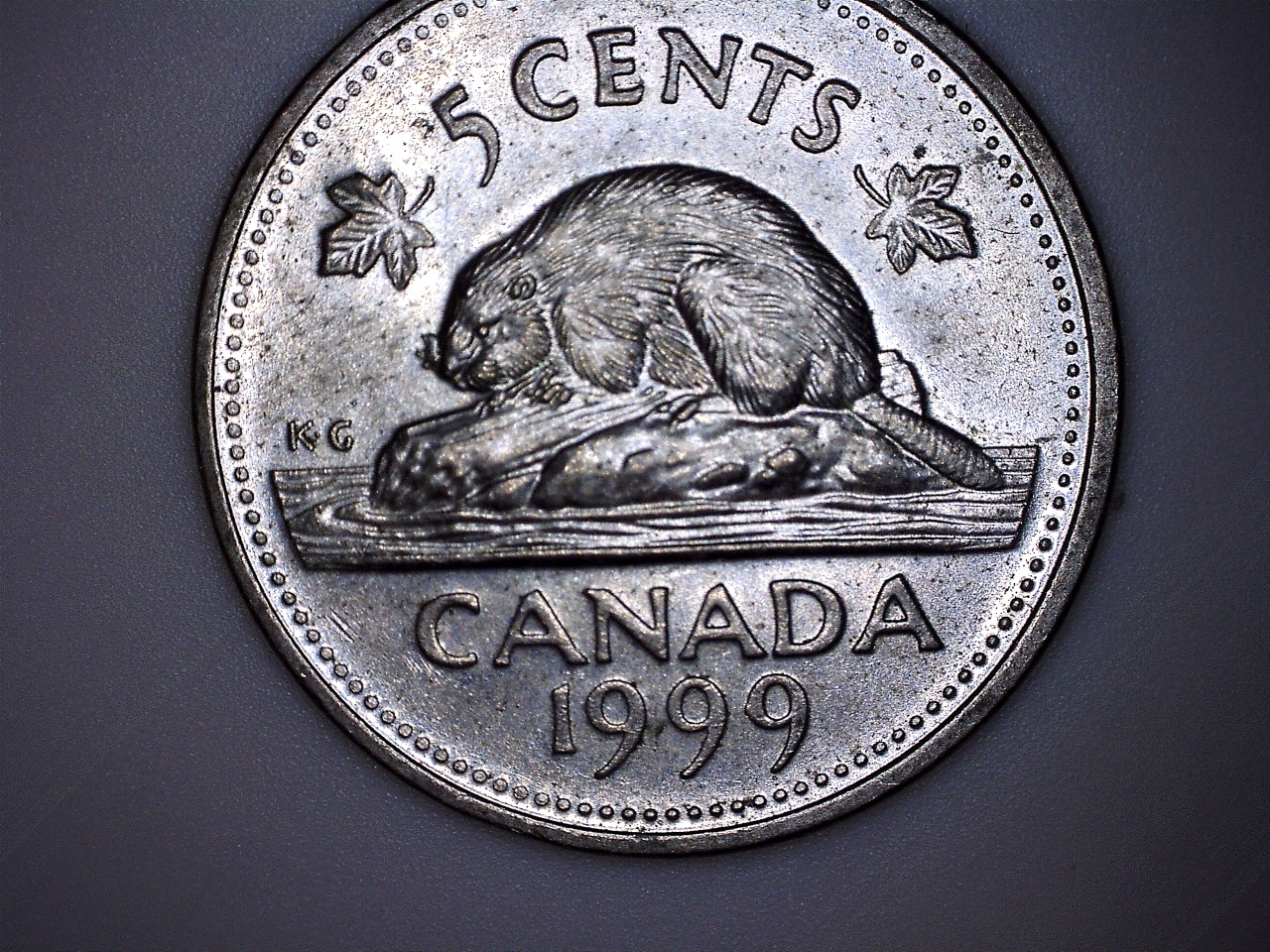 1999 1 moust.jpg