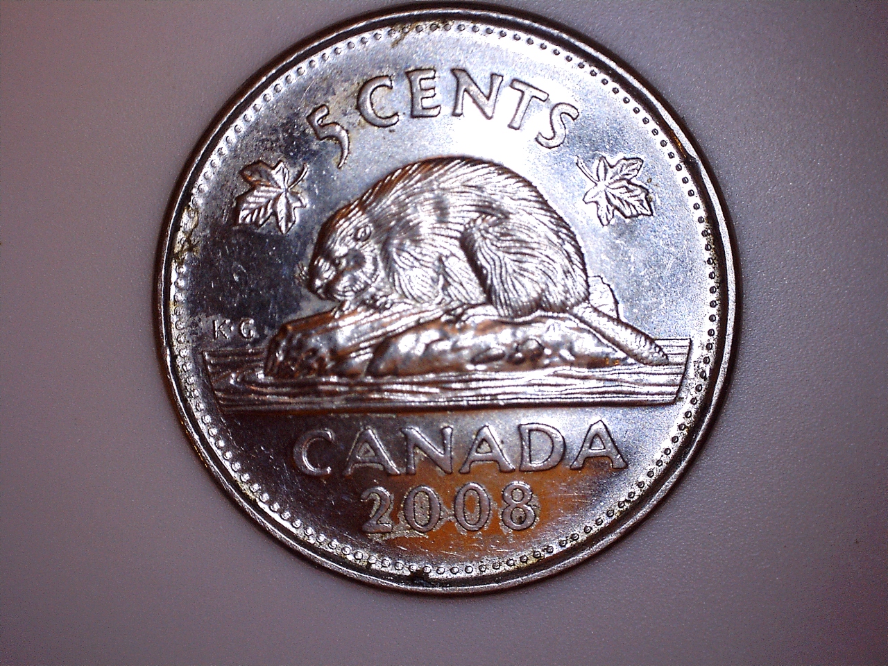 2008 cf 7.jpg