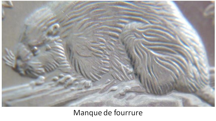 5 Cents 2006-Manque de fourrure sous ventre-2.JPG