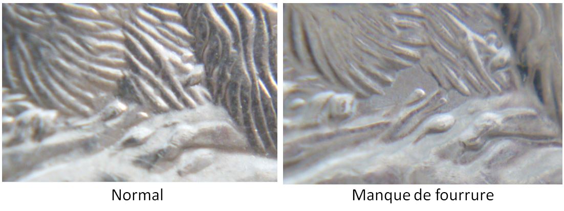 5 Cents 2006-Manque de fourrure sous ventre-3.JPG