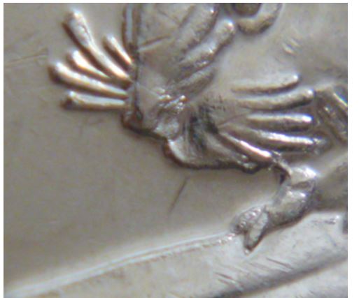 5 Cents 2012-Entrechoqué a la bouche du castor-1.JPG