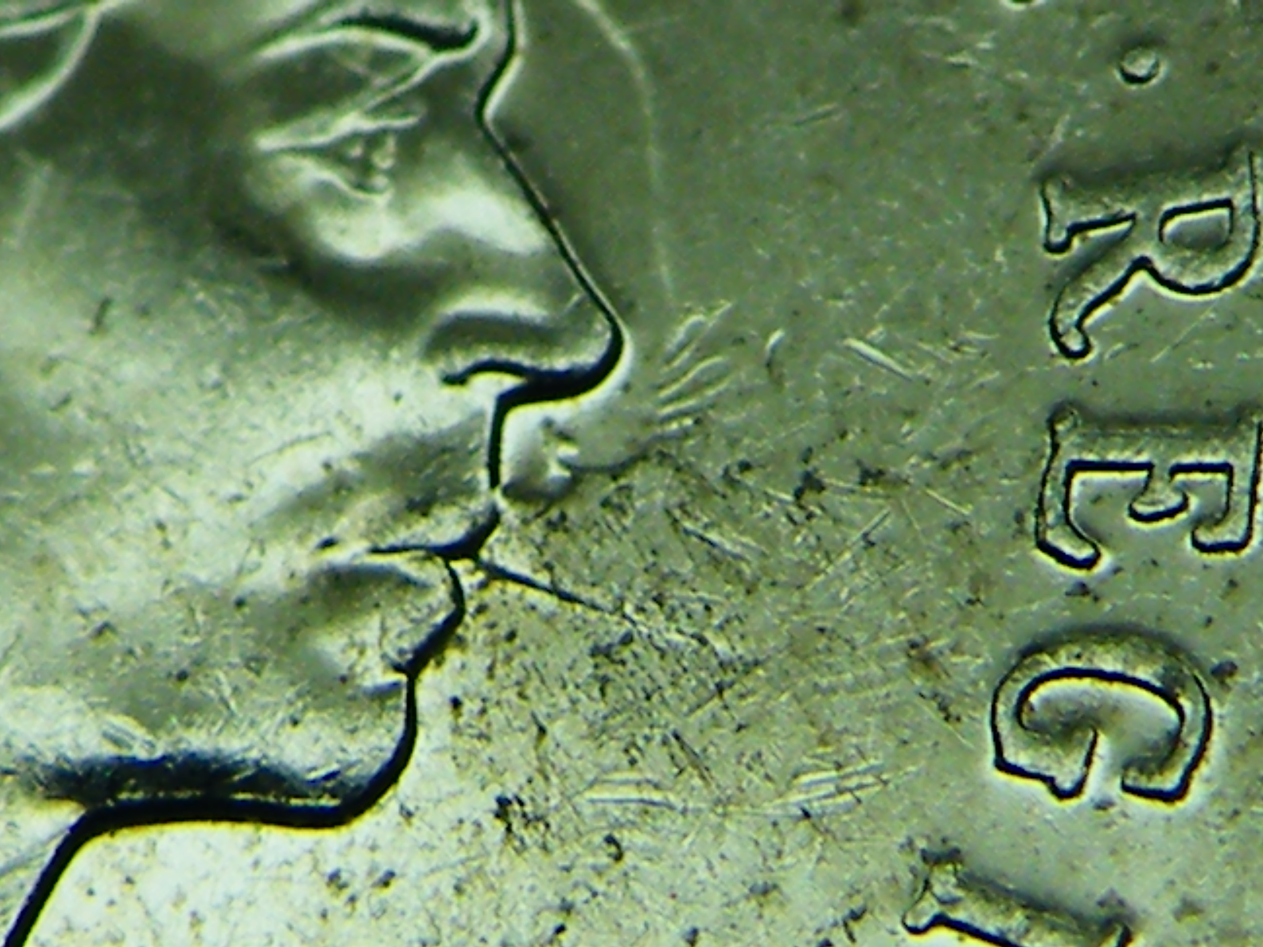 DSCF8493.JPG