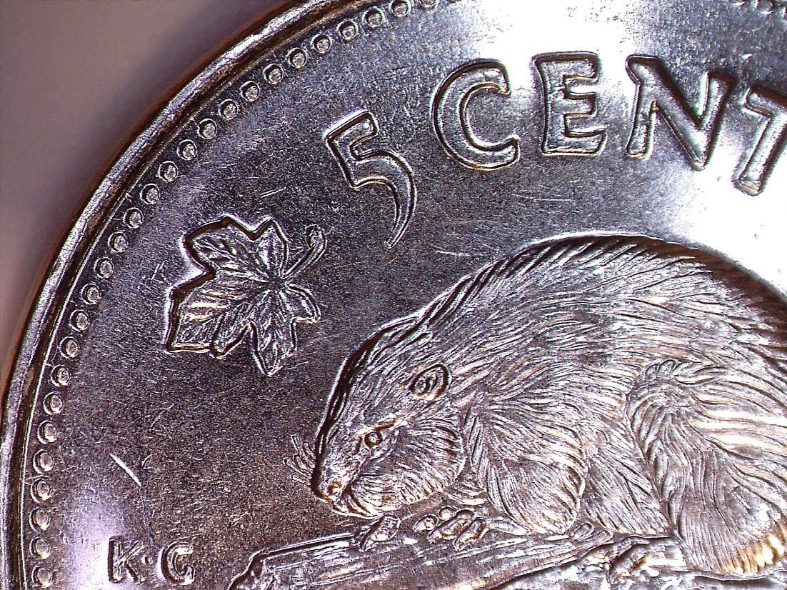 Die chip l. tige 2007 red.jpg