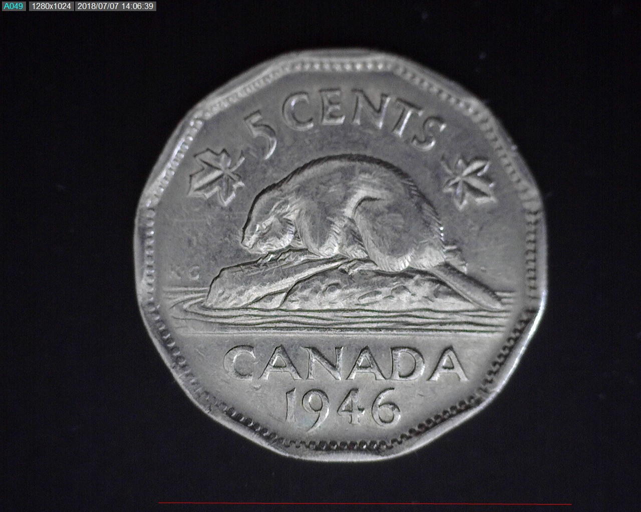 5¢ 1946 R.jpg