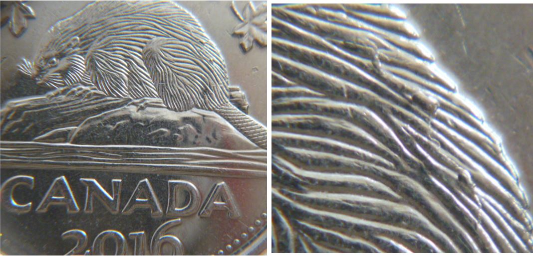 5 Cents 2016- Serpents sur le dos du castor-Accumulation.JPG