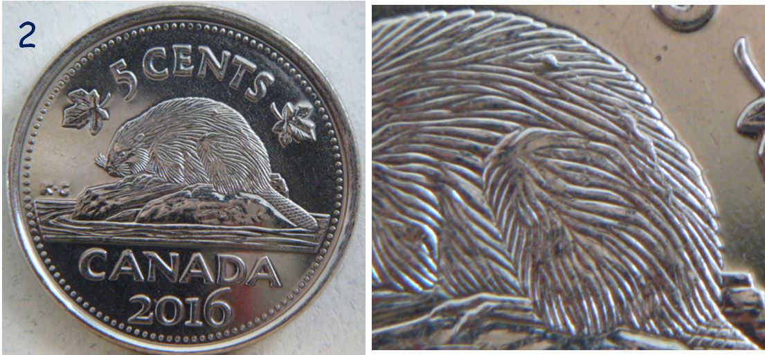 5 Cents 2016- Serpents sur le dos du castor-Accumulation-2.JPG