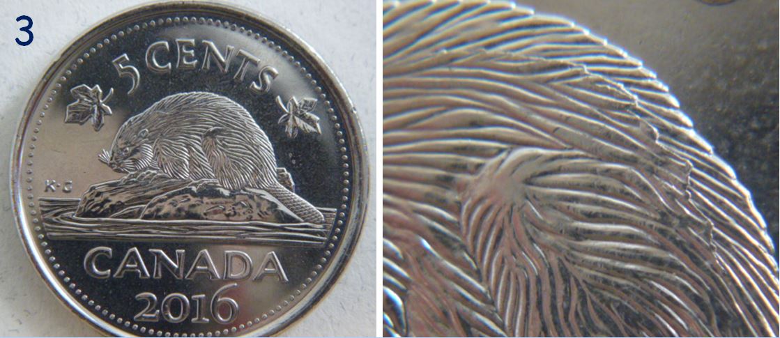 5 Cents 2016- Serpents sur le dos du castor-Accumulation-3.JPG