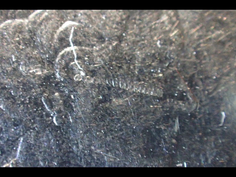 PB210016.JPG