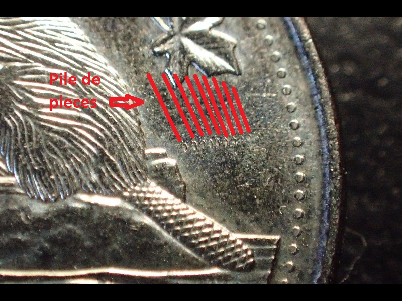 PB210022.JPG