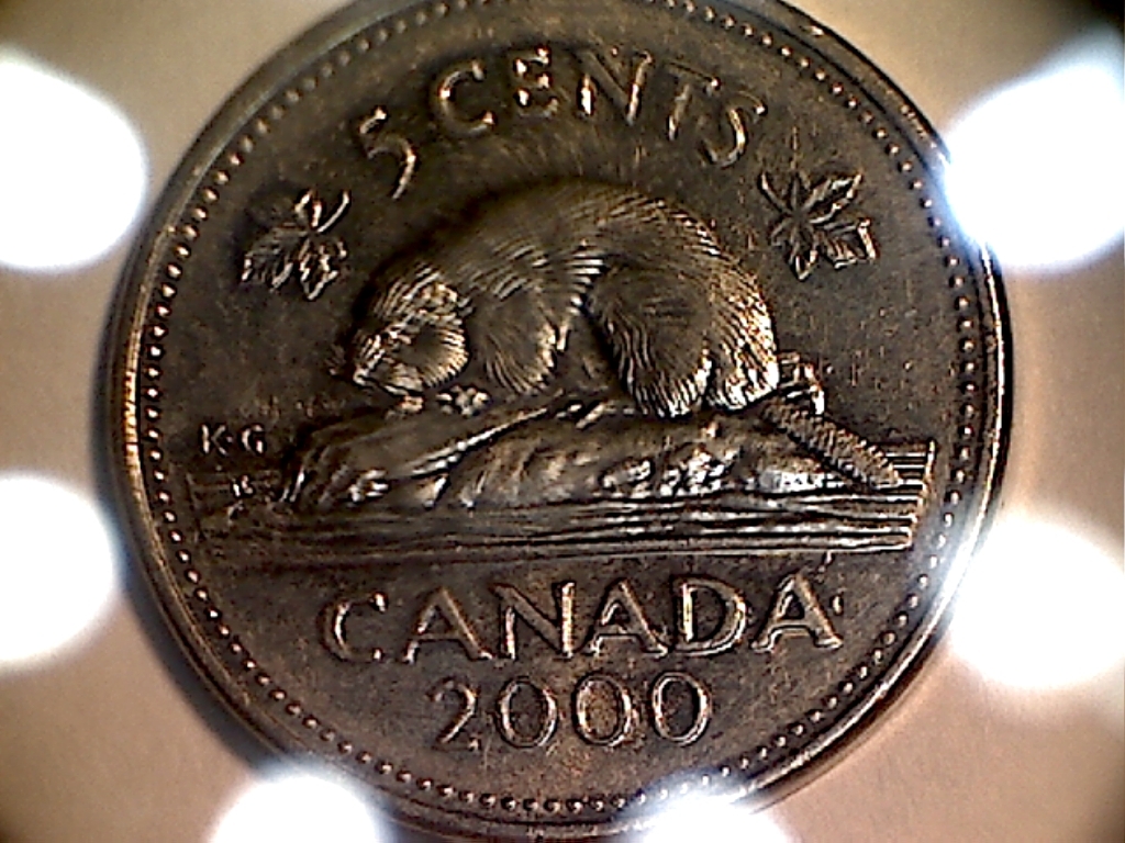 2000 #256 et Écl. à Gau. buche B518138C Revers.jpg