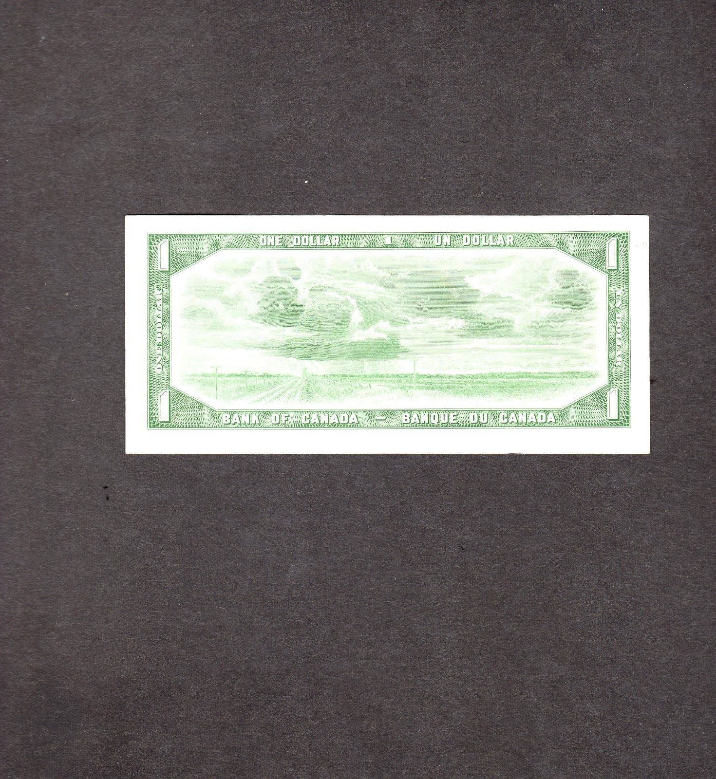 1_1967_2.jpg